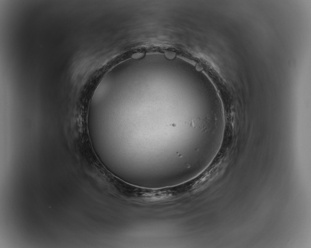 X0000093501159200710121508