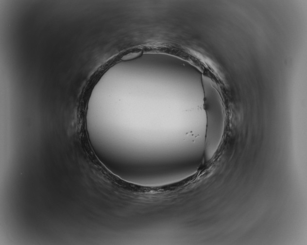 X0000093501160200710121508