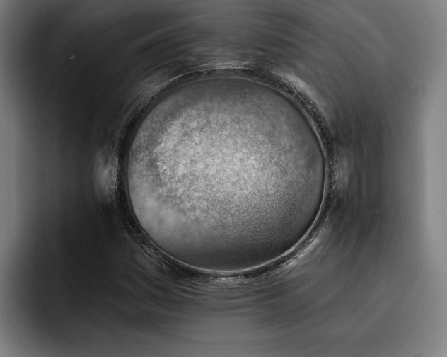 X0000093501161200710121508