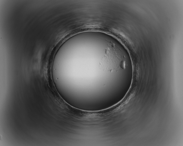 X0000093501162200710121508