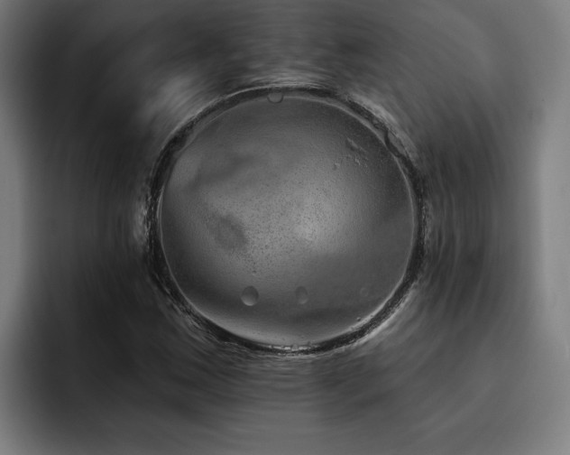 X0000093501163200710121508