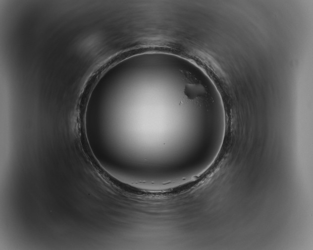 X0000093501164200710121508