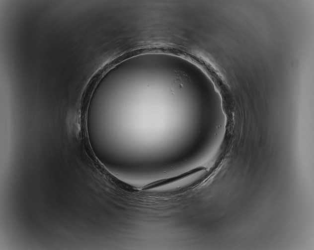 X0000093501165200710121508