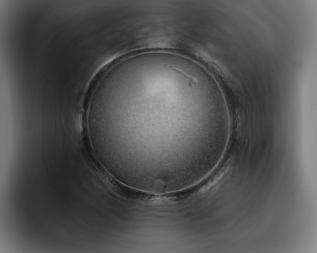 X0000093501166200710121508