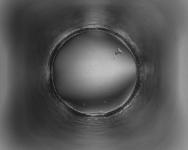 X0000093501167200710121508