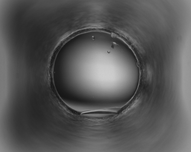 X0000093501168200710121508