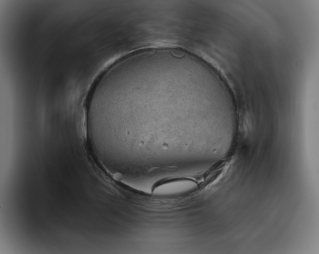 X0000093501171200710121508