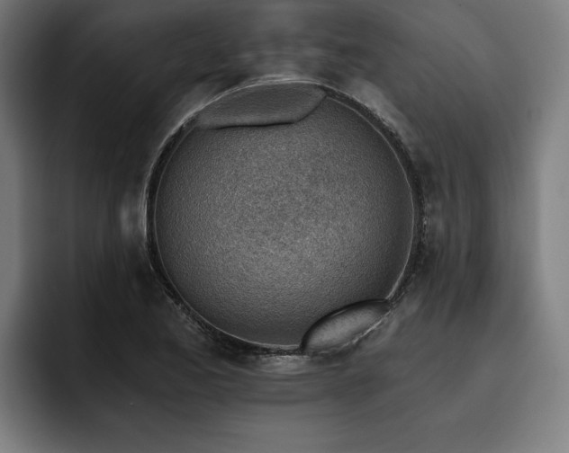X0000093501173200710121508