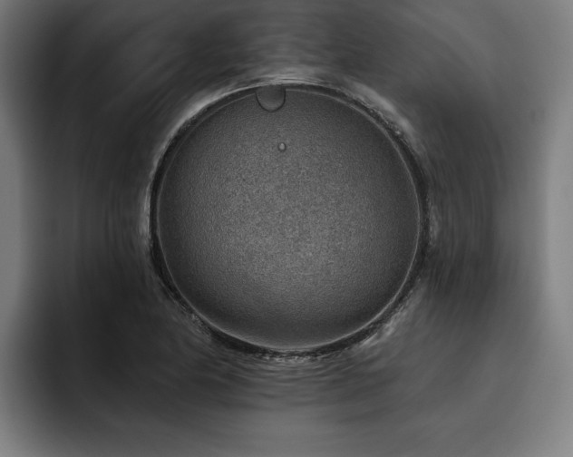 X0000093501174200710121508