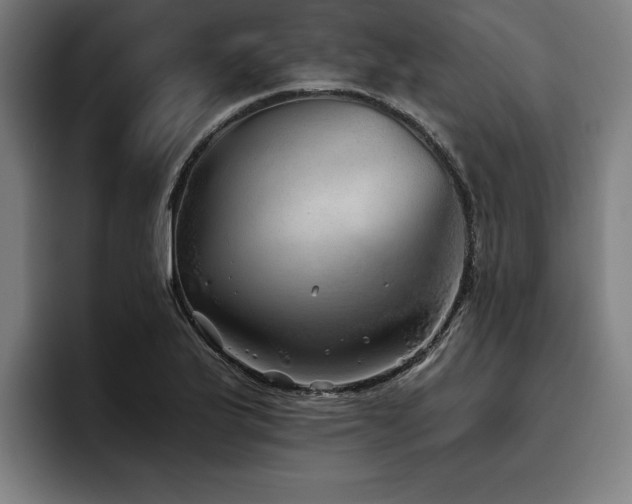 X0000093501175200710121508