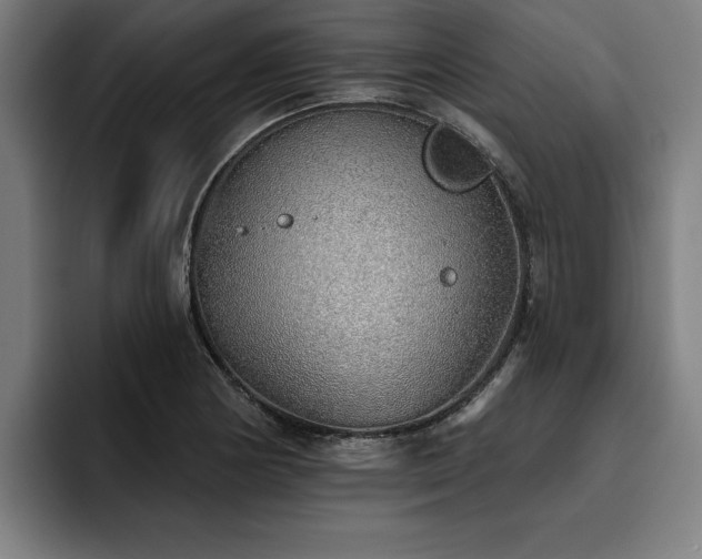 X0000093501178200710121508
