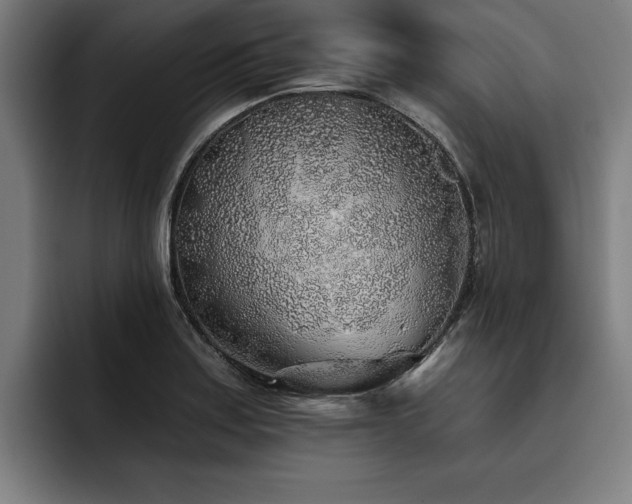 X0000093501179200710121508
