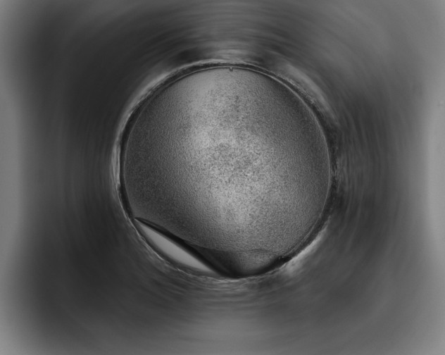 X0000093501180200710121508