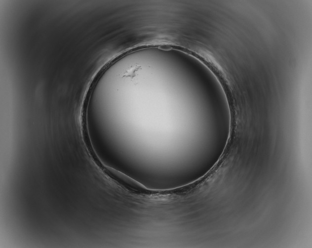 X0000093501181200710121508