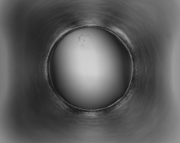 X0000093501182200710121508