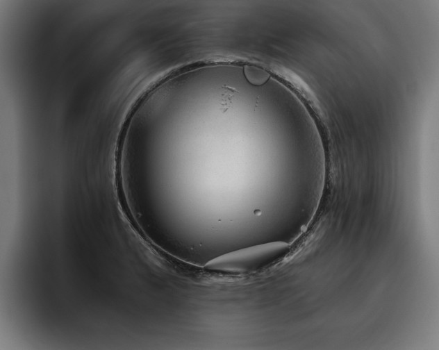 X0000093501183200710121508
