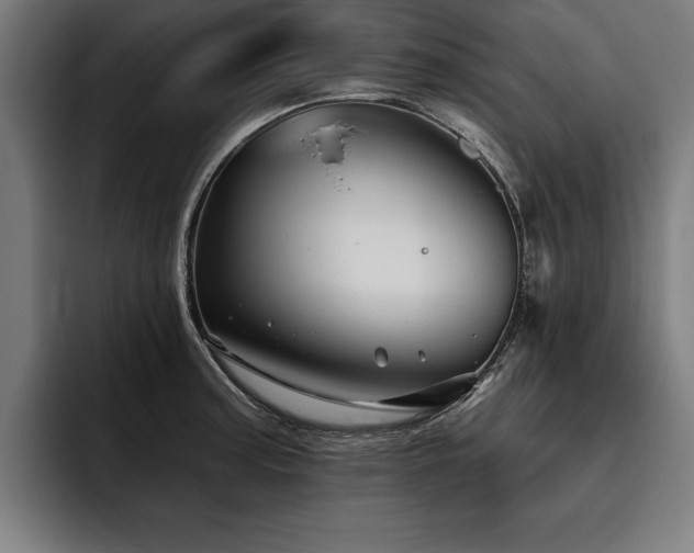 X0000093501187200710121508