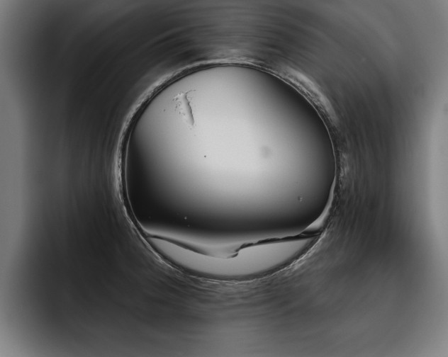 X0000093501188200710121508