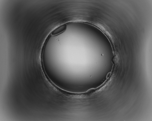 X0000093501189200710121508