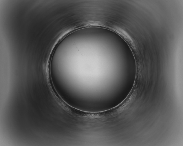 X0000093501190200710121508