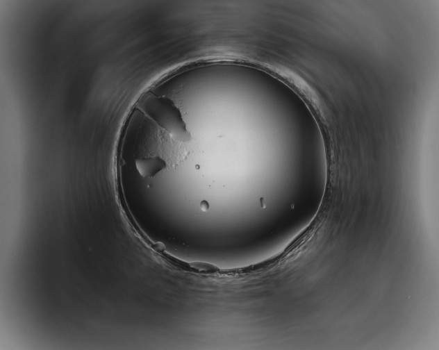 X0000093501191200710121508