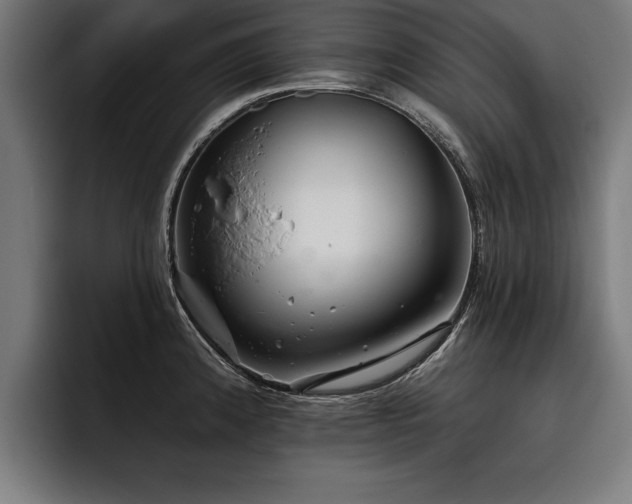 X0000093501192200710121508