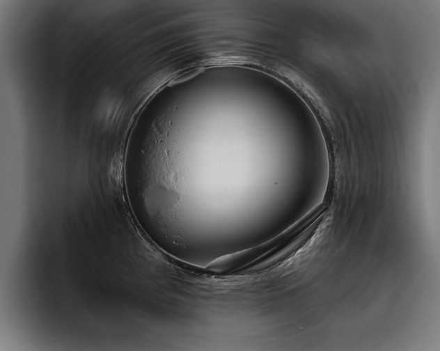 X0000093501193200710121508