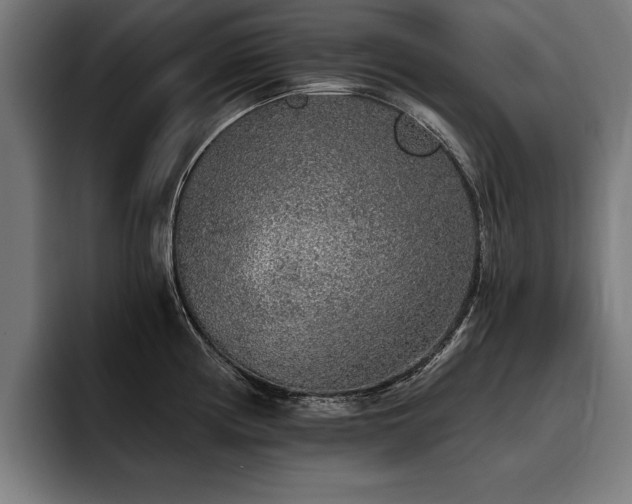 X0000093501194200710121508