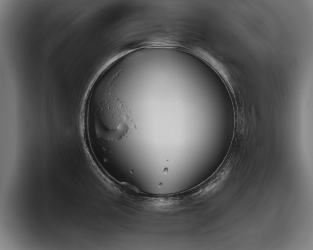 X0000093501195200710121508