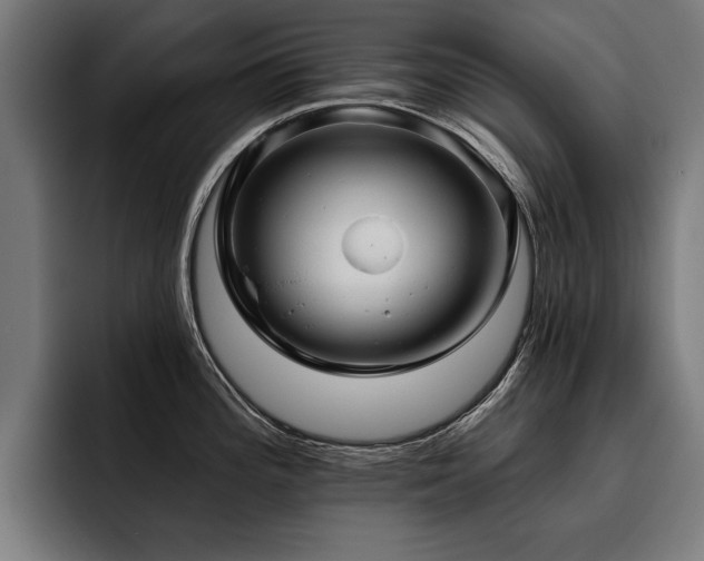 X0000093501196200710121507
