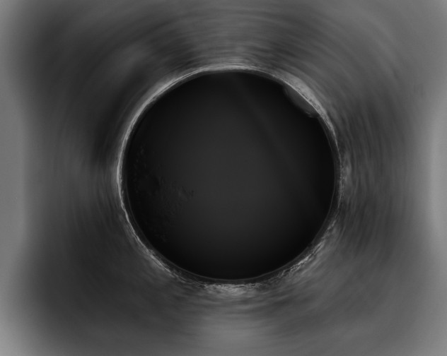 X0000093501197200710121507