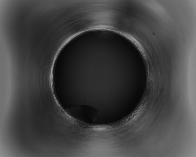X0000093501199200710121507