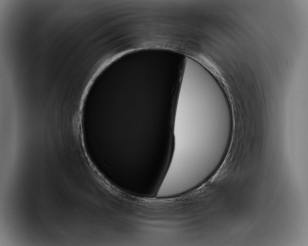X0000093501200200710121507