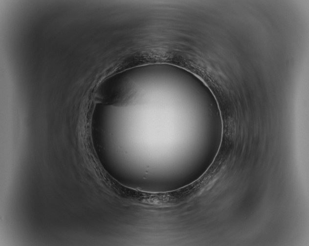 X0000093501201200710121507