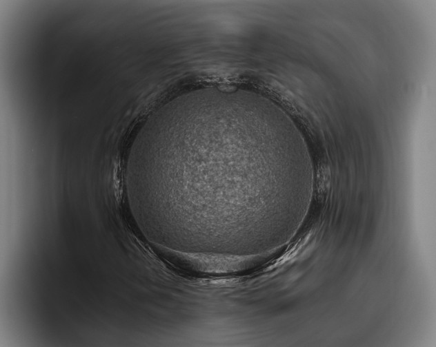 X0000093501202200710121507