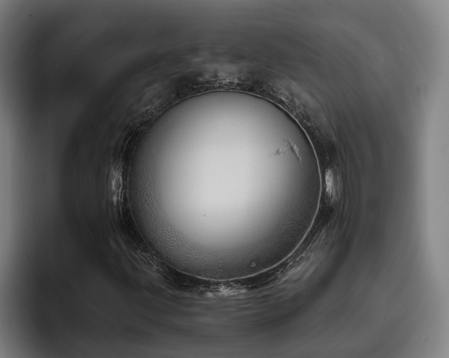 X0000093501203200710121507
