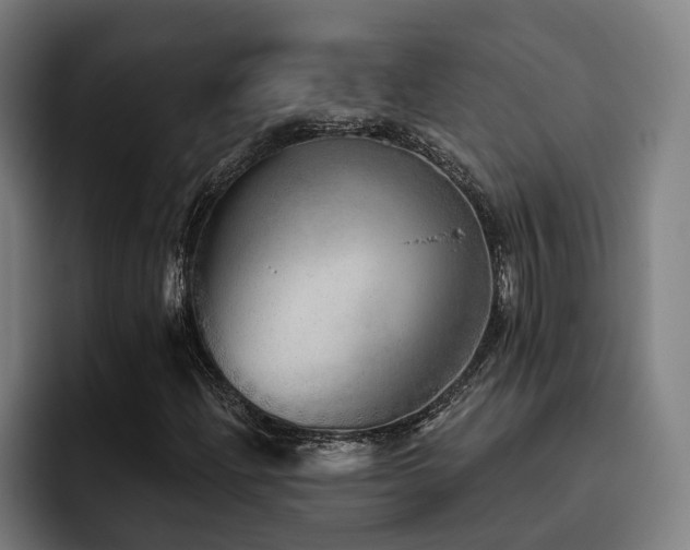 X0000093501204200710121507