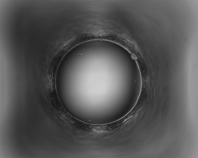 X0000093501205200710121507