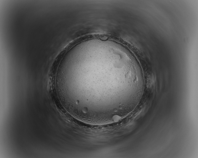 X0000093501208200710121507