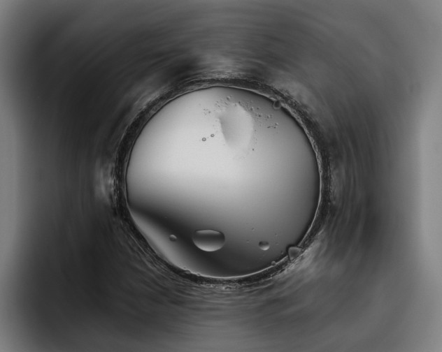 X0000093501210200710121507
