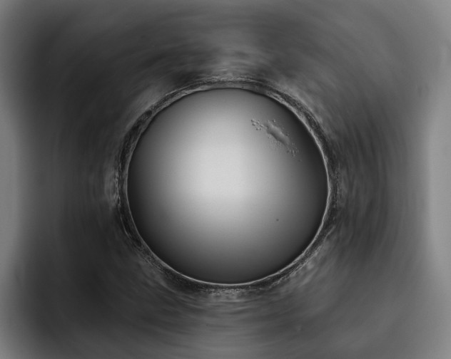 X0000093501211200710121507