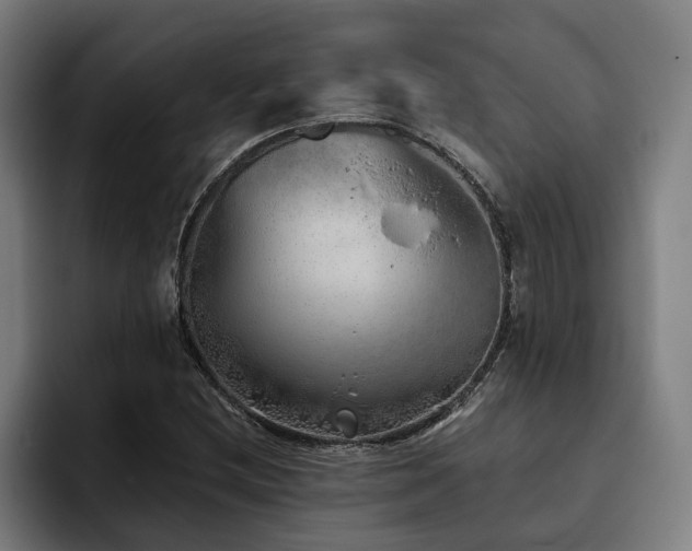 X0000093501212200710121507