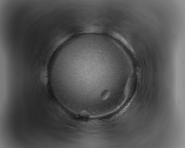X0000093501213200710121507