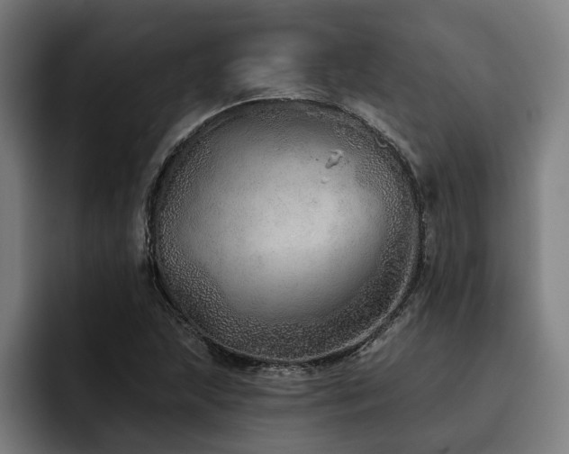 X0000093501215200710121507