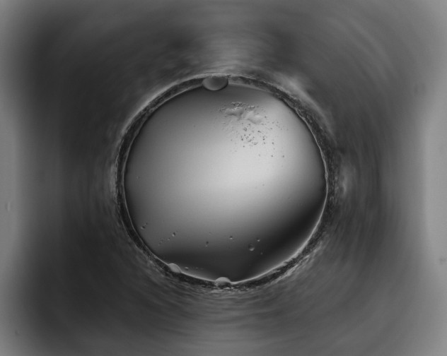 X0000093501216200710121507