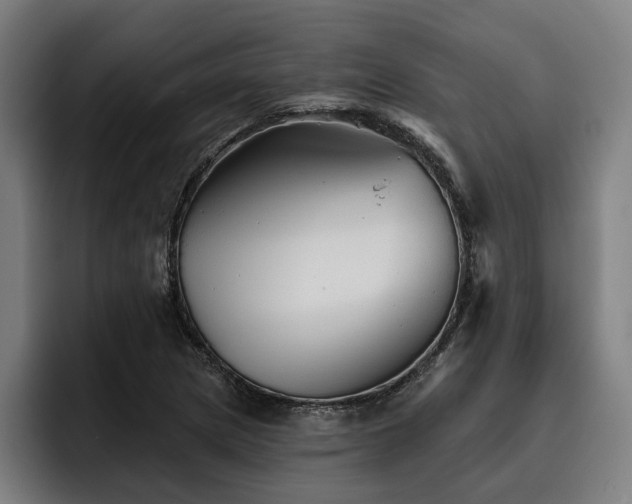 X0000093501217200710121507