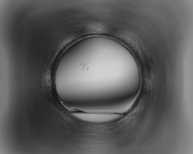 X0000093501218200710121507