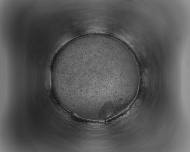 X0000093501219200710121507