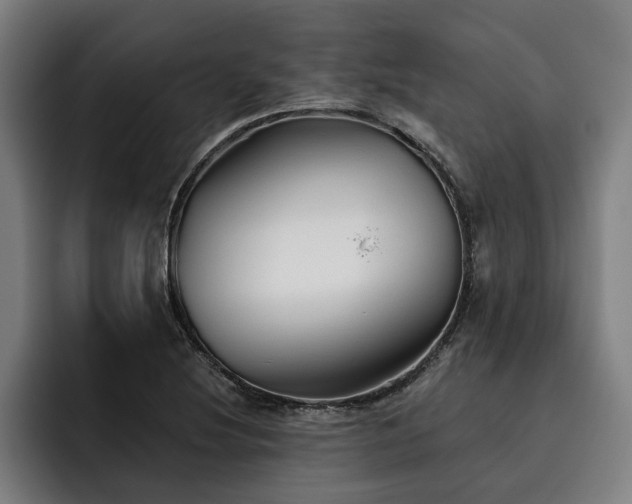 X0000093501220200710121507