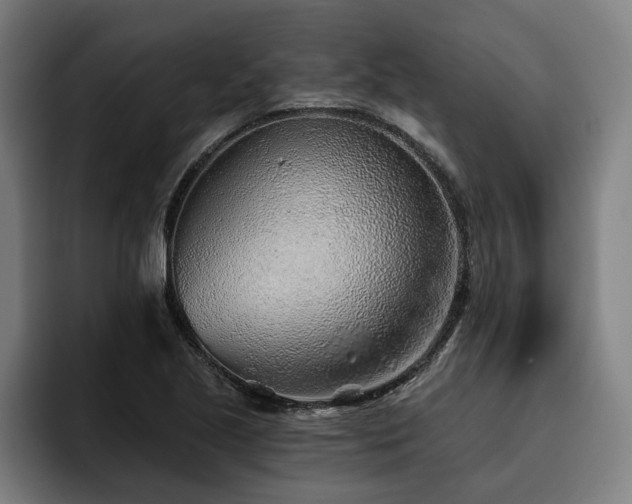 X0000093501221200710121507